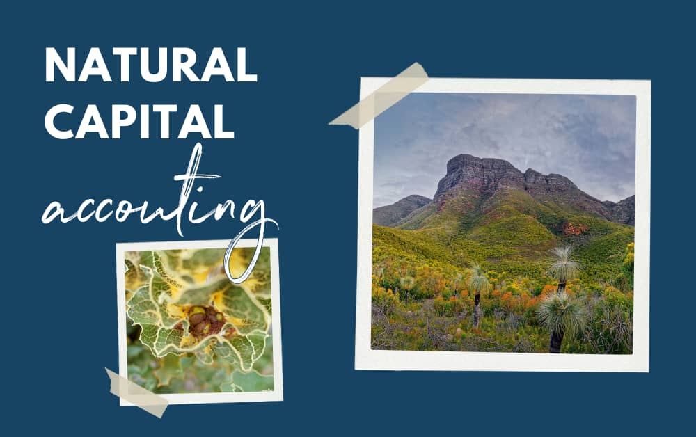 Valuing natures worth: natural capital accounting on the south coast
