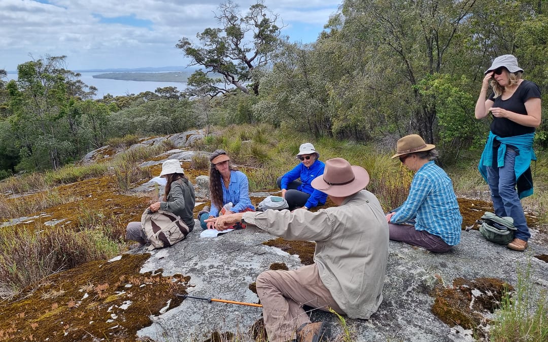 Biological surveys help to improve knowledge of local biodiversity
