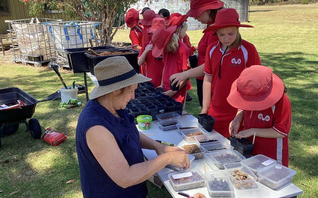 Wellstead kids sowing seeds to make a better future for our cockatoos