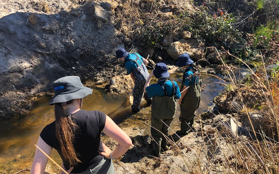 Students learn about managing urban waterways at Yakamia Creek